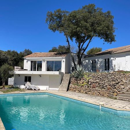 Les Terrasses Des Gardies Bed and Breakfast Pignan Esterno foto