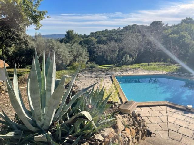 Les Terrasses Des Gardies Bed and Breakfast Pignan Esterno foto